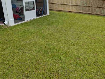 Lawn Care service in Easley, 29640