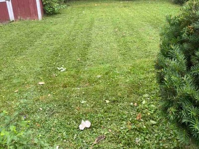 Lawn Care service in Hammond, 46324