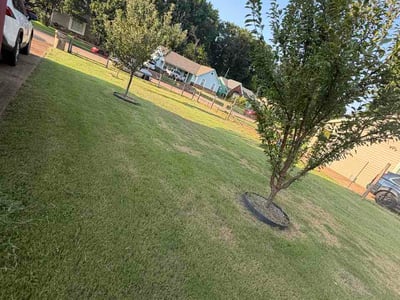 Lawn Care service in Millington, 38053