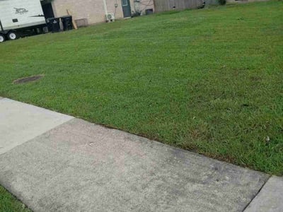 Lawn Care service in Scarsdale, 10583