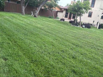Lawn Care service in Wimberley, 78676