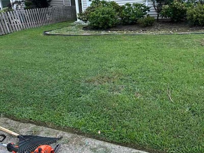 Lawn Care service in Springfield Gardens, 11434