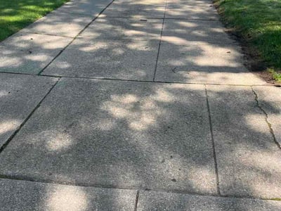 Lawn Care service in Springfield Gardens, 11434