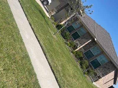 Lawn Care service in Allen, 75013