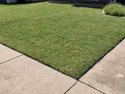 Lawn Care service in Alvarado, 76009