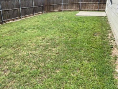 Lawn Care service in Alvarado, 76009