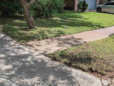 Lawn Care service in Englewood, 07631