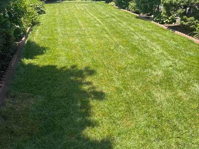 Lawn Care service in Flushing, 11354