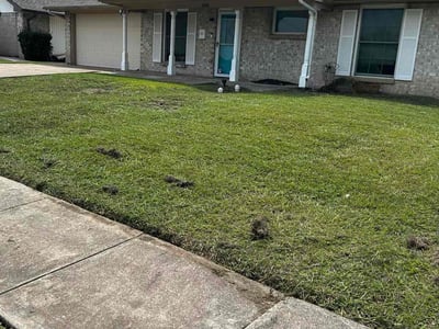 Lawn Care service in Flushing, 11354