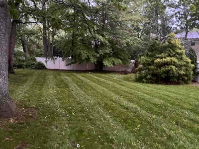 Lawn Care service in Valley Stream, 11580