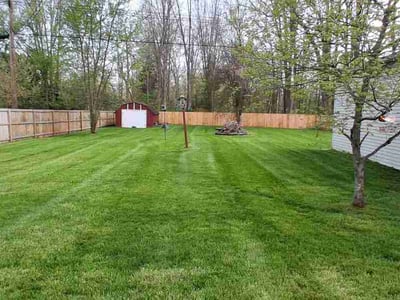 Lawn Care service in Belleville, 48111