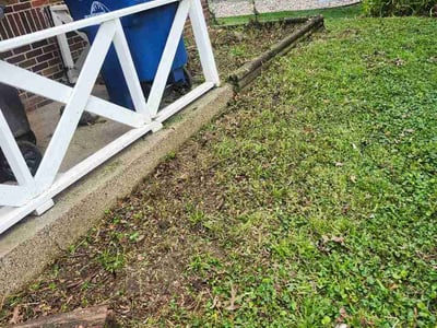Leaf Removal service in Lutz, 33549