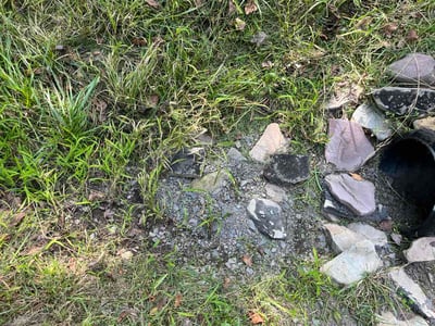 Leaf Removal service in Lutz, 33549