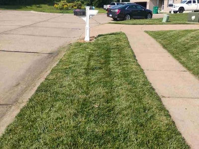 Lawn Care service in Point Pleasant Beach, 08742