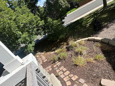 Lawn Care service in Point Pleasant Beach, 08742