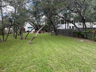 Lawn Care service in Bastrop, 78602