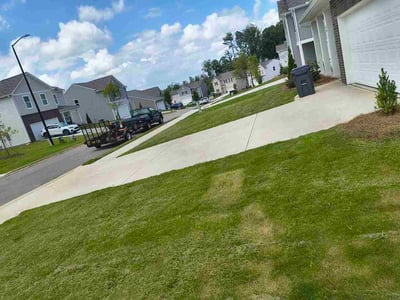 Lawn Care service in Hartsville, 29550
