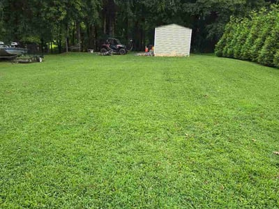 Lawn Care service in Gallatin, 37066