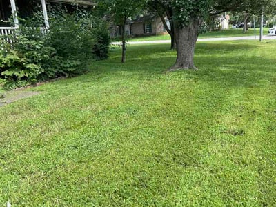 Lawn Care service in Murfreesboro, 37129