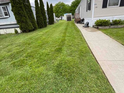 Lawn Care service in Harper Woods, 48225