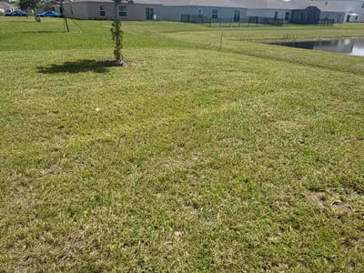Lawn Care service in DeBary, 32713