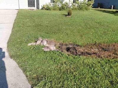 Lawn Care service in DeBary, 32713