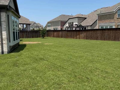 Lawn Care service in Aubrey, 76227