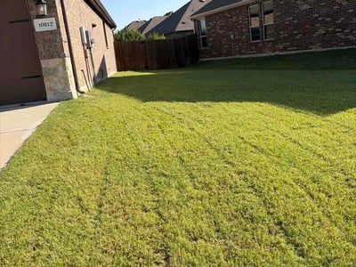 Lawn Care service in Aubrey, 76227