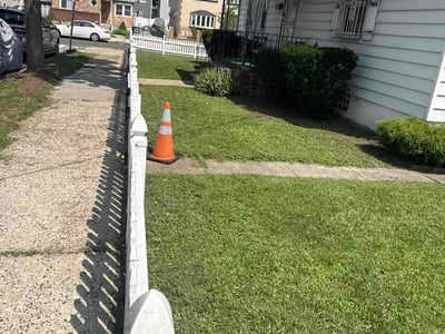 Lawn Care service in Long Island City, 11101