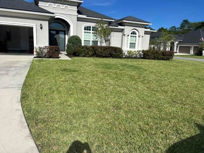 Lawn Care service in Long Island City, 11101