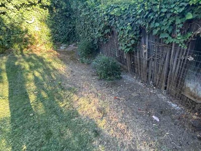 Leaf Removal service in Lubbock, 79401