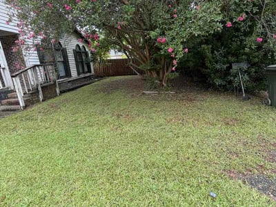 Lawn Care service in Camden, 29020