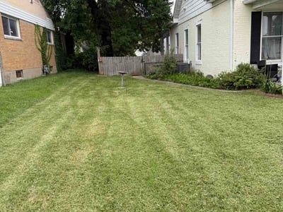Lawn Care service in Harrison, 45030