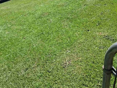 Lawn Care service in Camden, 29020