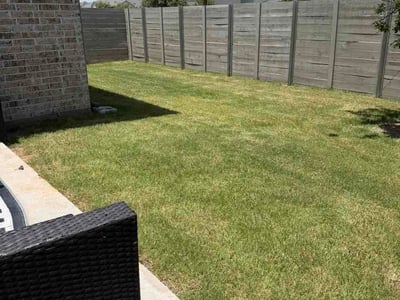 Lawn Care service in Greenville, 75401