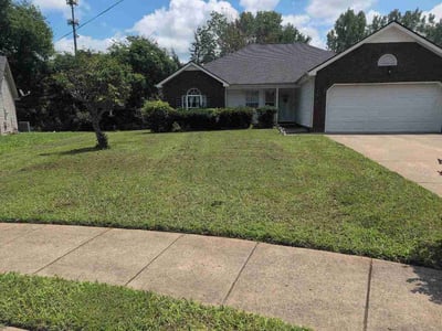 Lawn Care service in La Vergne, 37086
