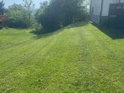 Lawn Care service in Bronx, 10462
