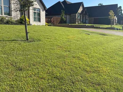 Lawn Care service in Longview, 75601
