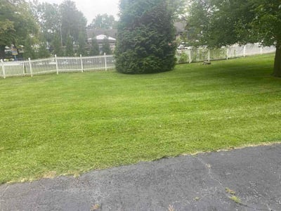 Lawn Care service in Troy, 45373