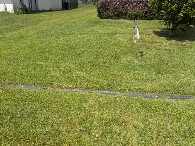 Lawn Care service in Bronx, 10462