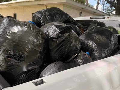 Leaf Removal service in Lafayette, 70501