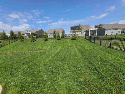 Lawn Care service in Covington, 41011