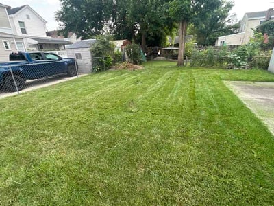 Lawn Care service in Covington, 41011