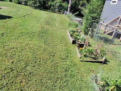 Lawn Care service in Lebanon, 37087
