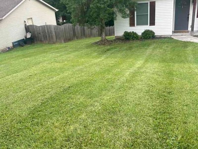 Lawn Care service in Corryton, 37721