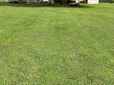 Lawn Care service in Rossville, 30741