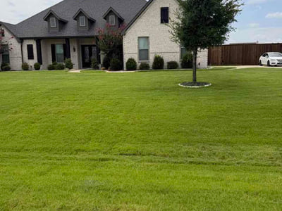 Lawn Care service in Waxahachie, 75165