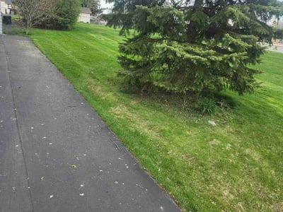 Lawn Care service in Park Forest, 60466