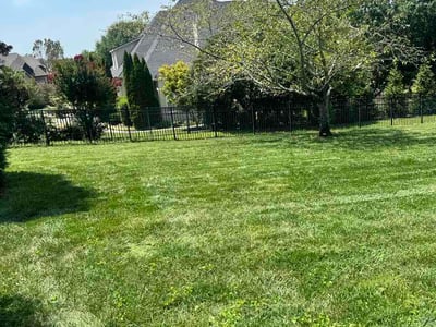Lawn Care service in Franklin, 37064