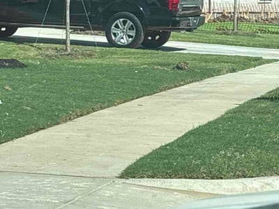 Lawn Care service in Waxahachie, 75165